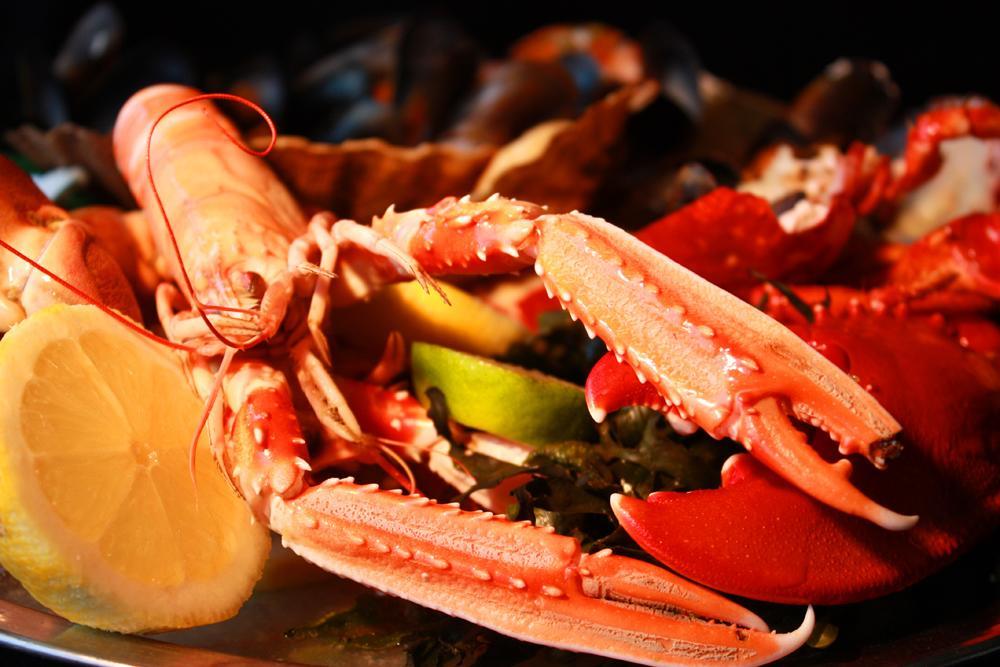 Oyster Inn Connel Обан Экстерьер фото